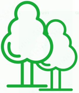 zielone drzewa